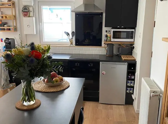 Maison Cosy Rénovée Avec Jardin Ruan