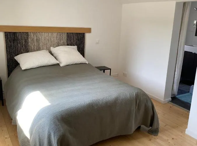 度假居 Maison Cosy Renovee Avec Jardin *